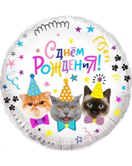 Круг Котики С Днем Рождения!