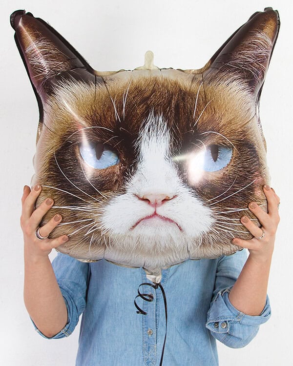 Фигура Сердитая кошка — изображение 2
